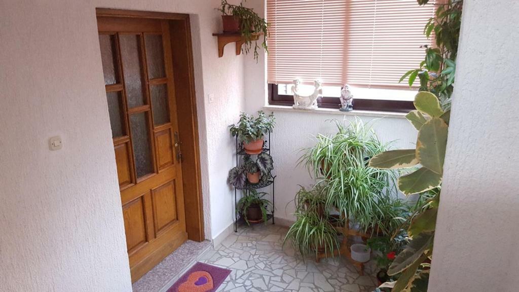 App Marija Apartment Криквеница Екстериор снимка